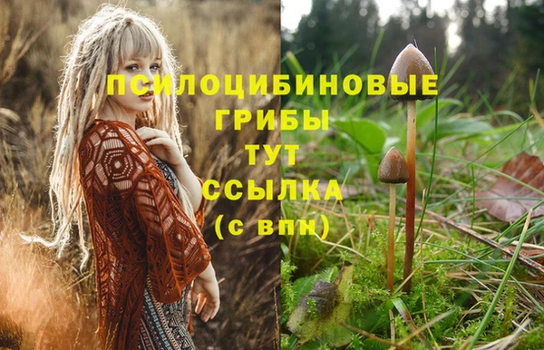 мескалин Балахна