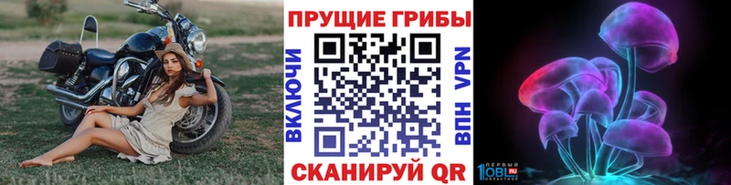 Псилоцибиновые грибы Psilocybe  Купить  Кингисепп 